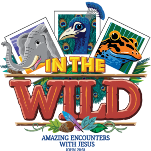 In the Wild Full Logo In the Wild Full Logo